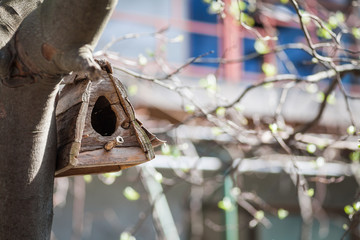 Wooden bird house