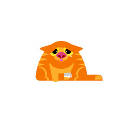 Sick cat illustration