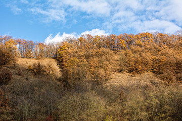 Beautiful autumn colors, trees on a hill against the blue sky with clouds