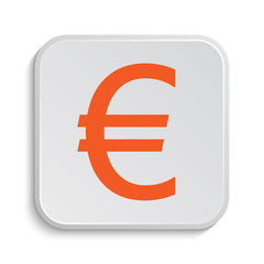 Euro icon