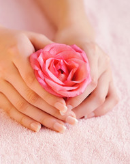 Closeup image of pink french manicure with rose