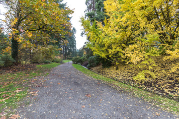 path in forest in park