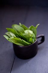 Wild young green garlic leaves 