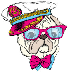 Dog in the captain's cap. Cute puppy. Vector illustration.