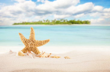 Fototapeta na wymiar Sandy tropical beach with island on background