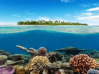Fotobehang Underwater coral reef with tropical island © Jag_cz