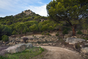 Fototapeta na wymiar Cerro Castrejón en Avila