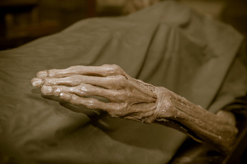 Fototapeta premium The dead body, Focus on hand decay