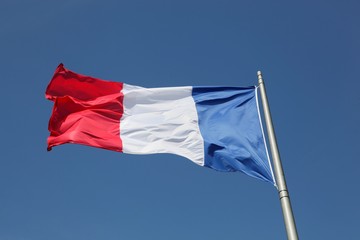 Naklejka na ściany i meble French flag 