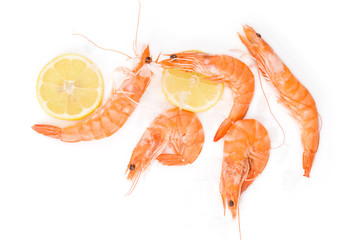 Shrimp background with copyspace.