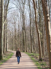 Female walking along  at a track in a forest under blue sky, The Hague, Netherlands 2016