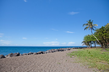 берег с пальмой и вулканическим песком