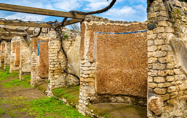 House of Julia Felix in Pompeii