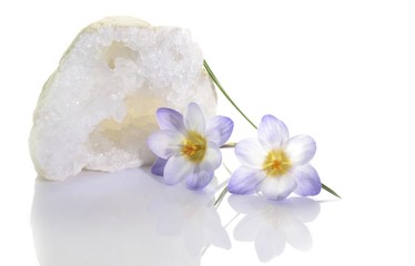 Fototapeta na wymiar Crocus flower and quartz geode
