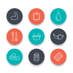 Diet, nutrition, supplements line round icons on white, diet pictograms, vector illustration
