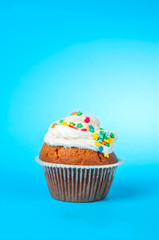 cupcake on blue background