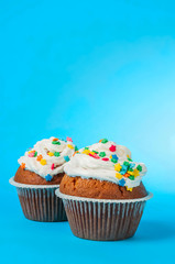 Two cupcakes on blue background