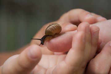 Kinderschnecke
