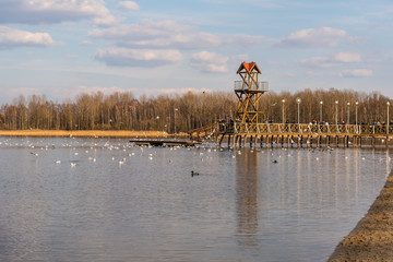 Pier on Pogoria Lake in Dabrowa Gornicza © kabat