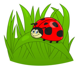 Naklejka premium Cartoon ladybug