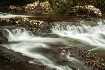 Fototapeta premium Goomoolahra creek at Springbrook National Park in Queensland.