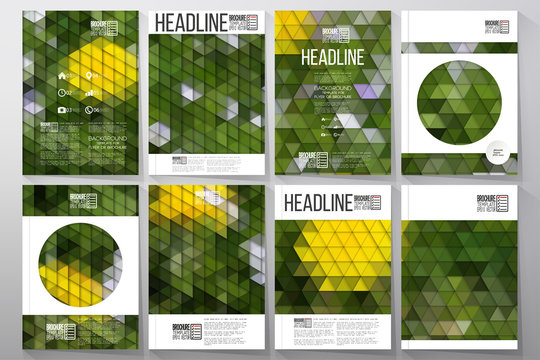 Business templates for brochure, flyer or booklet. Yellow flowers on the grass. Collection of abstract multicolored backgrounds. Natural geometrical patterns. Triangular style vector 