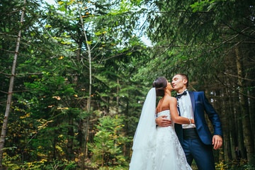 newlyweds in park.newlyweds on walk in the beautiful wood.newlyweds embrace.embraces of newlyweds.newlyweds in the spring wood.gentle.relations.feelings.beautiful groom and bride.fantastic wedding.