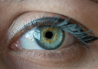 Human blue eye with reflection closeup. Macro shot.