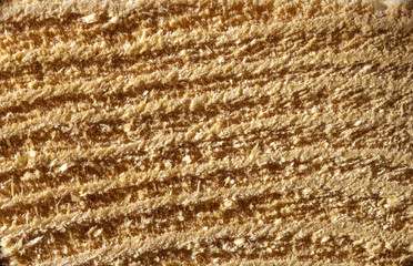 Closeup of rough wooden structure