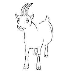 black and white image of a goat