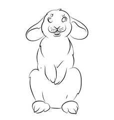 black and white image of a rabbit