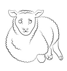 black and white image of a sheep