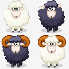 cartoon black and white sheep