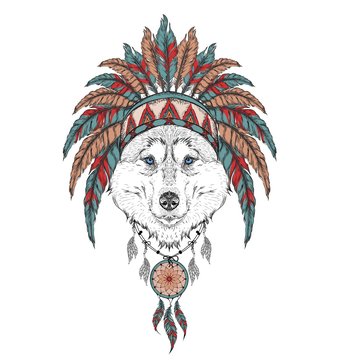 Wolf in the Indian roach. Indian feather headdress of eagle. Hand draw vector  illustration