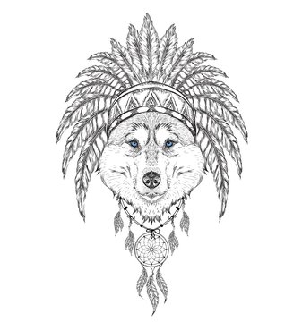 Wolf in the Indian roach. Indian feather headdress of eagle. Hand draw vector  illustration
