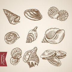 engraving lineart retro vintage vector