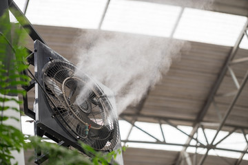 Electric Misting Fan