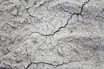 Surface of land with dry and cracked ground