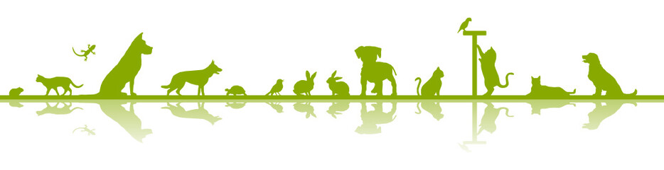 Silhouette Haustiere - Hund, Katze, Vogel u.a.