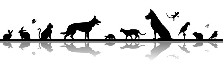 Silhouette Haustiere - Hund, Katze, Vogel u.a.