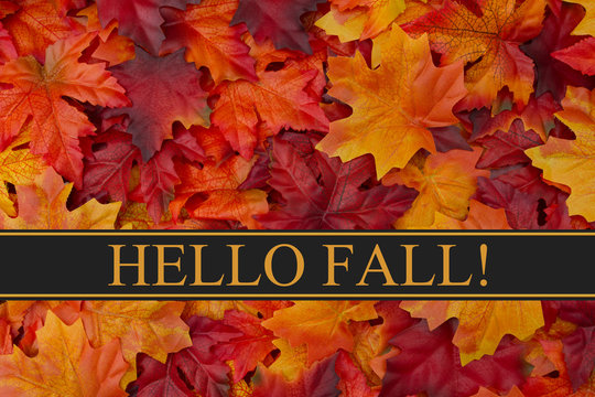 Hello Fall Message