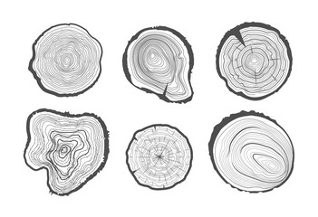 Collection of tree-rings. Vector graphics. - 107148435