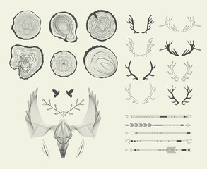 Set with tree-rings, arrows, antlers. Vector 