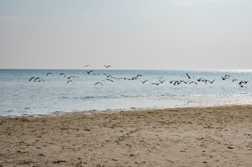 Morze bałtyckie © Filip Olejowski