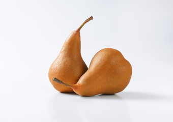 Two ripe Bosc pears © Viktor