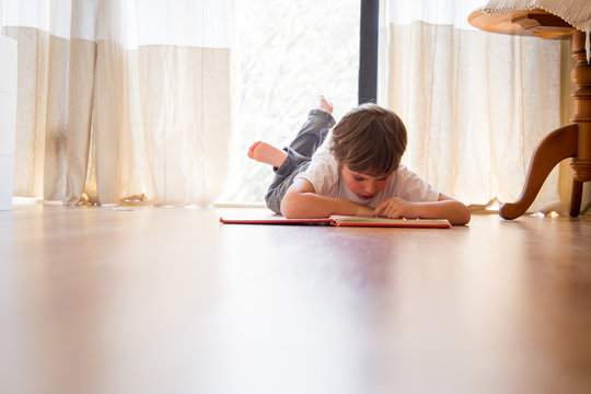ni&ntilde;o leyendo un libro en casa