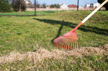 raking the grass / The man at the raking grass in the garden at springtime