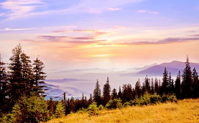 Fototapeten Fabulous landscape of sunrise in the mountains in a fog. Carpath © anko_ter