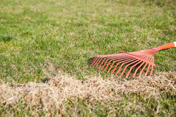 raking the grass / The man at the raking grass in the garden at springtime