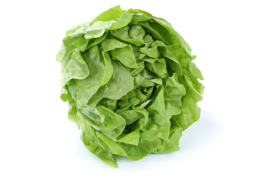 Salat Kopfsalat Gemüse Freisteller freigestellt isoliert